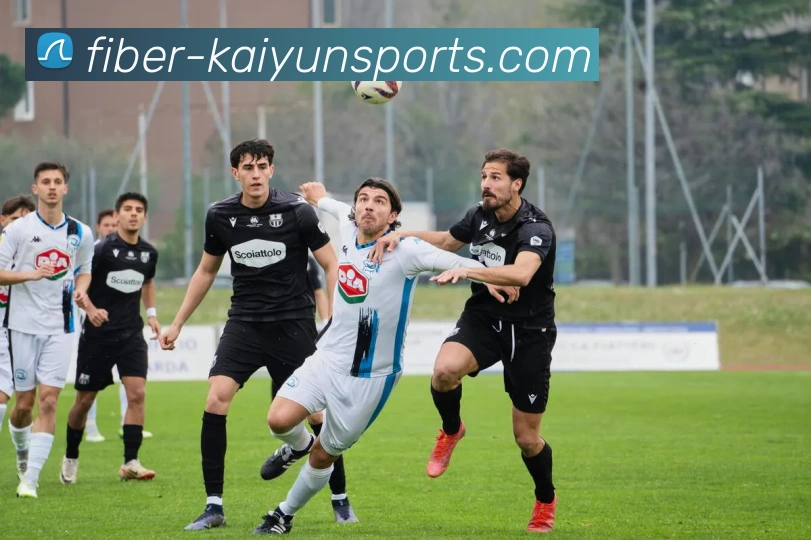 App Interface Preview