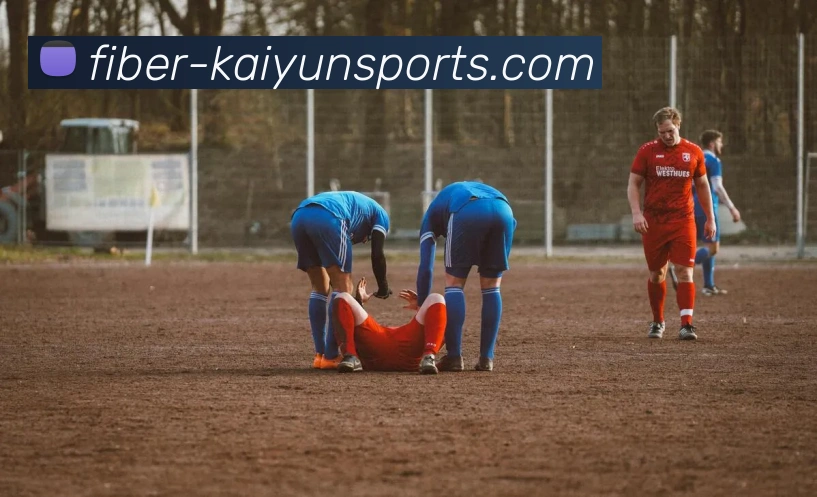 开云入口APP 封面图